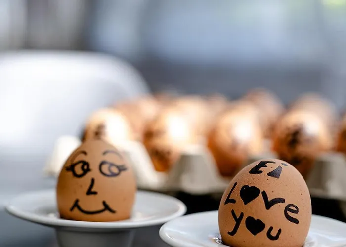 Auszeit - Fruehstueckshotel 杜塞尔多夫