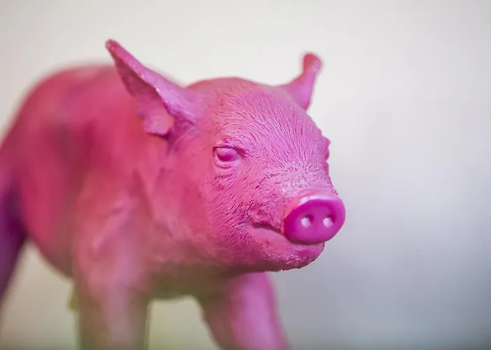 Auszeit - Fruehstueckshotel 酒店 3*