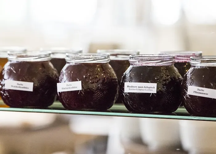 Auszeit - Fruehstueckshotel 3* 杜塞尔多夫